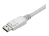 StarTech.com USB C naar DisplayPort kabel - Close-up