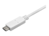 StarTech.com USB C naar DisplayPort kabel - Close-up