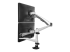 StarTech.com Desk Mount Dual Monitor Arm - Rug