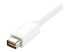 StarTech.com Mini-DVI naar HDMI Videokabel Adapter voor Macbooks en iMacs - Close-up