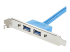 StarTech.com 2-poort USB 3.0 A Vrouwelijke Adapter Slotplaatje - Close-up
