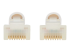 Eaton Tripp Lite Series Safe-IT Cat6a 10G Snagless Antibacterial Slim UTP Ethernet Cable (RJ45 M/M), White, 6 ft. (1.83 m) - Close-up