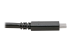 Eaton Tripp Lite Series USB-C Cable (M/M) - Close-up