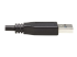 Eaton Tripp Lite Series USB-C to USB-A Cable (M/M), USB 3.2 Gen 1 (5 Gbps), Thunderbolt 3 Compatible, 20-in. (50.8 cm) - Close-up