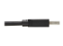 Eaton Tripp Lite Series USB 3.2 Gen 1 SuperSpeed A/A Cable (M/M), Black, 6 ft. (1.83 m) - Close-up