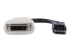 StarTech.com DisplayPort naar DVI Video Adapter Converter - Voorkant