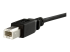StarTech.com 30cm Inbouwpaneel USB-kabel B naar B - Close-up