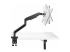 StarTech.com Monitor Desk Mount For 49" Ultrawide Curved Screen, Max 44lb - Rug